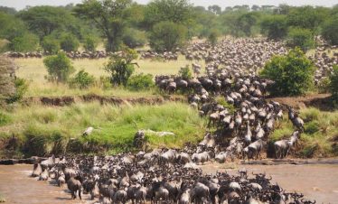4-Day Fly in Serengeti, Ngorongoro, Materuni – Zanzibar