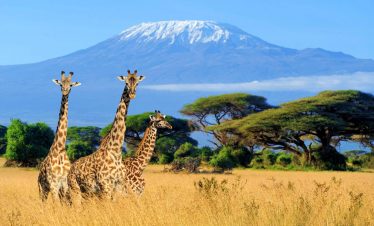 Mount Kilimanjaro Expedition