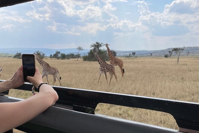 5-days-classic-rwanda-wildlife-safari