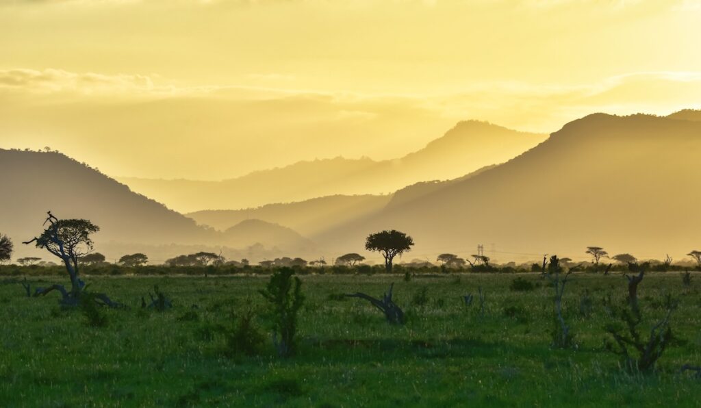 6-days-remote-fly-in-safari-chyulu-hills-amboseli-backcountry