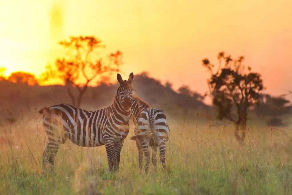 Serengeti National Park