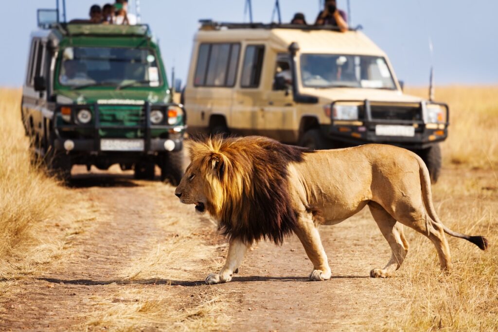 6-days-mara-beyond-the-migration