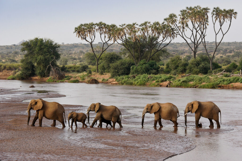9-days-northern-kenya-nomad-safari