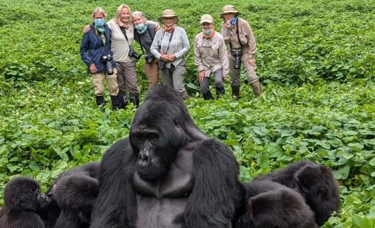Why A Uganda Safari Is the Ultimate Bucket List Experience