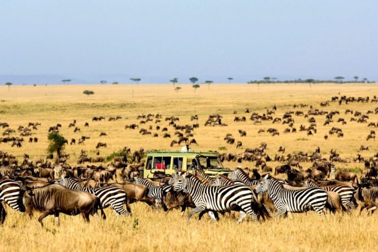 Uganda’s Least explored National Park : Kidepo