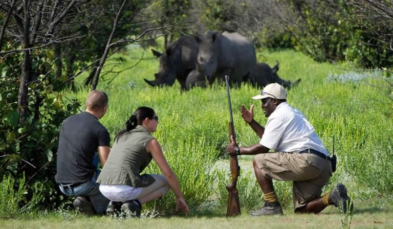 A Guide to Your First African Safari