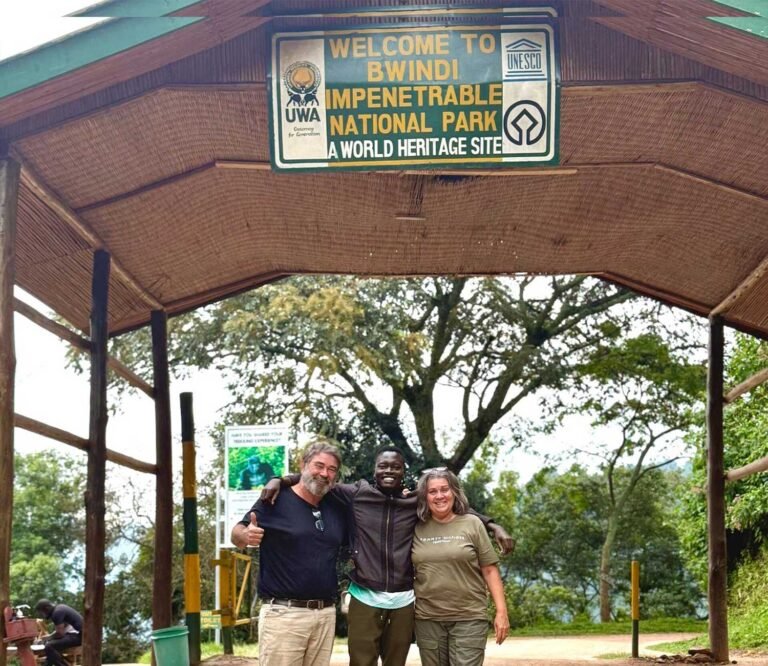 What’s the Best Time to Visit Uganda for a Safaris: Discover East Africa with Sankofa Afrika